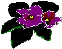 VIOLET.BMP