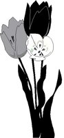 TULIPS.BMP