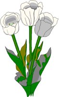 TULIP.BMP