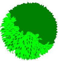 TREETOP3.BMP