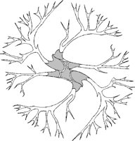 TREETOP2.BMP