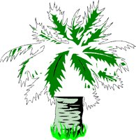 TREE5.BMP