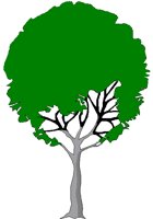 TREE4.BMP