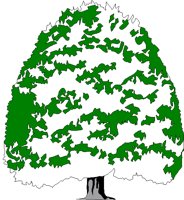 TREE3.BMP
