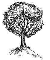 TREE01.PCX