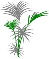 SENTPALM.BMP