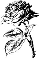 ROSE_0F3.PCX