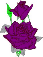 ROSEST.BMP