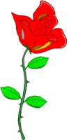 ROSE2.BMP