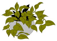 POTPLANT.BMP