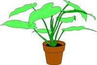 PLANT.BMP