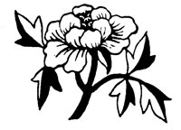 PEONY367.PCX