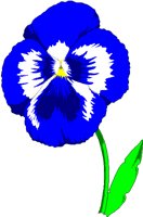 PANSY.BMP