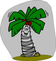 PALMZ.BMP