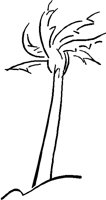 PALM02.BMP