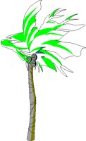 PALM.BMP