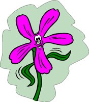 ORCHIDE.BMP