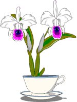 ORCHID.BMP