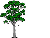 NATURE21.BMP