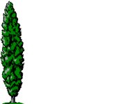 NATURE19.BMP