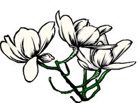 NATURE14.BMP