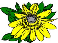 NATURE13.BMP