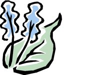 NATU0360.BMP