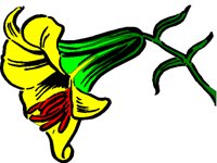 NATU0031.BMP