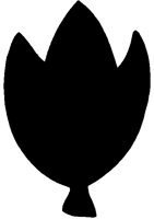 NAT099.BMP
