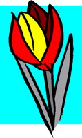 NAT079.BMP