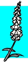 NAT073.BMP
