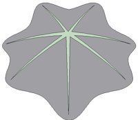 NAT058.BMP