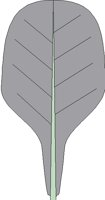 NAT057.BMP