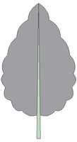 NAT051.BMP
