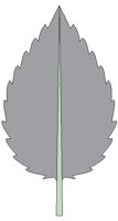 NAT048.BMP