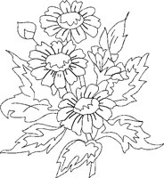 NAT046.BMP