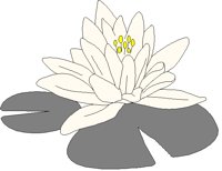 NAT043.BMP
