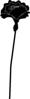 NAT029.BMP