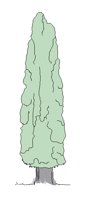 NAT016.BMP