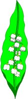 LILYVALL.BMP