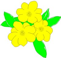 JASMINE.BMP