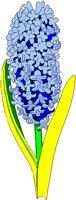 HYACINTH.BMP