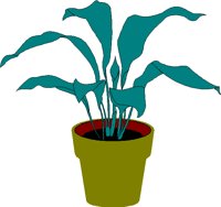 HSEPLANT.BMP