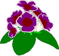 GLOXINIA.BMP