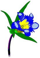 GENTIAN.BMP
