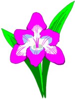 FREESIA.BMP