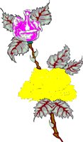 FLWR1.BMP