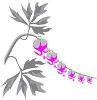 FLWR001.BMP