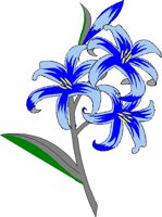 FLOWIRIS.BMP