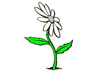 FLOWER2.BMP